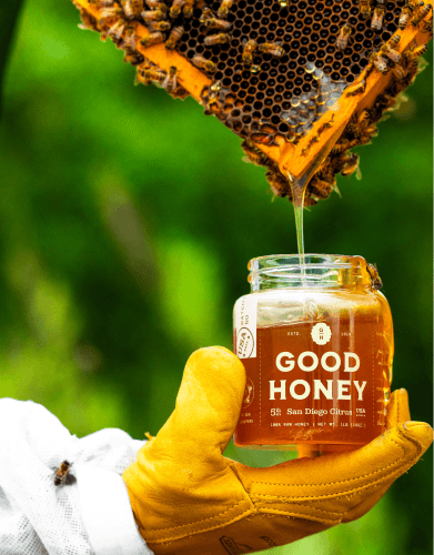 A gloved hand holds a "Good Honey" jar while fresh honey drips into it from a honeycomb frame covered in bees.