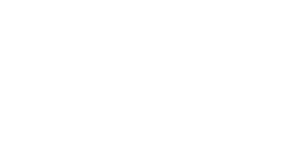 Logo for LIQUIDS featuring a white saguaro cactus with drips below, on a black background.
